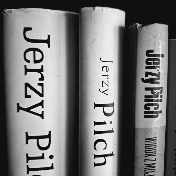 347. O literaturze słów kilka