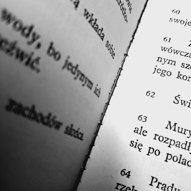 382. Natchnienie, albo …